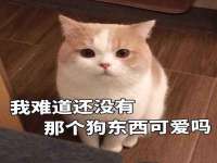 东海县荣泰电子科技有限公司