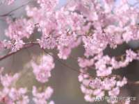 东海县荣泰电子科技有限公司