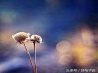 东海县荣泰电子科技有限公司