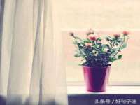 东海县荣泰电子科技有限公司