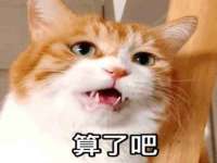 东海县荣泰电子科技有限公司