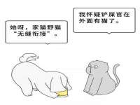 东海县荣泰电子科技有限公司