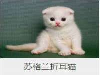 东海县荣泰电子科技有限公司