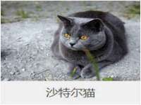 东海县荣泰电子科技有限公司