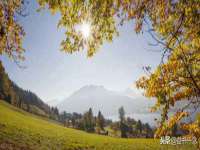 东海县荣泰电子科技有限公司