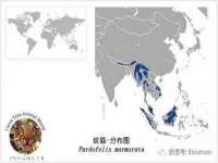 东海县荣泰电子科技有限公司