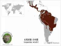 东海县荣泰电子科技有限公司