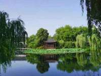 东海县荣泰电子科技有限公司