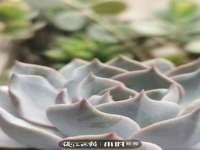 东海县荣泰电子科技有限公司