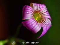 东海县荣泰电子科技有限公司