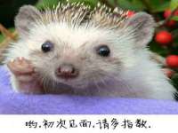 东海县荣泰电子科技有限公司