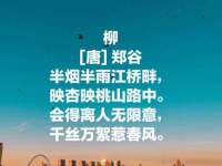 东海县荣泰电子科技有限公司