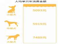 东海县荣泰电子科技有限公司