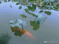 东海县荣泰电子科技有限公司