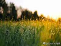 东海县荣泰电子科技有限公司
