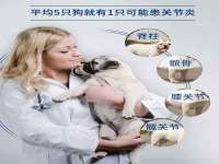东海县荣泰电子科技有限公司