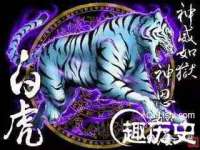 东海县荣泰电子科技有限公司