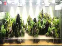 东海县荣泰电子科技有限公司