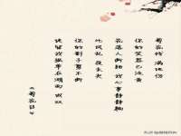 东海县荣泰电子科技有限公司