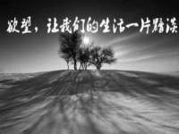 东海县荣泰电子科技有限公司