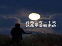 东海县荣泰电子科技有限公司