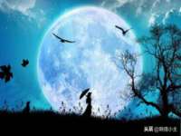 东海县荣泰电子科技有限公司