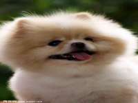 东海县荣泰电子科技有限公司