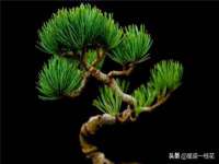 东海县荣泰电子科技有限公司